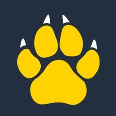 Cheetay.pk jobs - logo