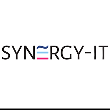 SYNERGY-IT jobs - logo