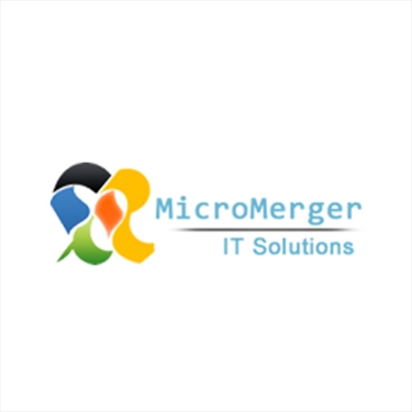 MicroMerger Private Limited