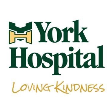 York Hospital Ltd. jobs - logo