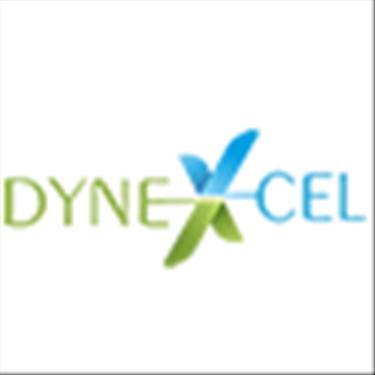 Dynexcel jobs - logo