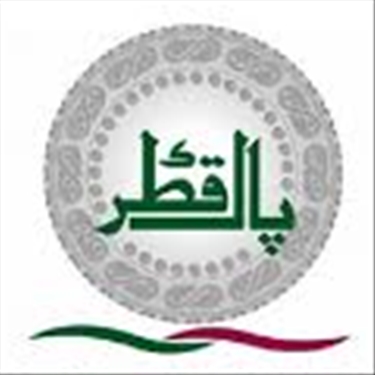 Pak Qatar Family Takaful jobs - logo