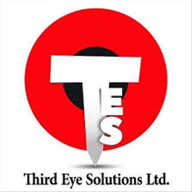 Third Eye Solutions jobs - logo