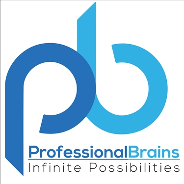 Professional brains jobs - logo