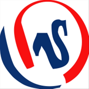 WasiSoft Technology jobs - logo
