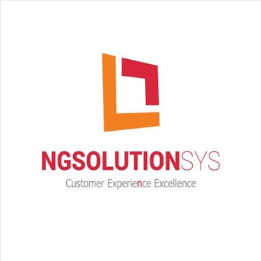 NG Solutions System Limited jobs - logo