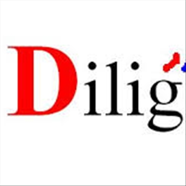 Diligent Recruitment jobs - logo